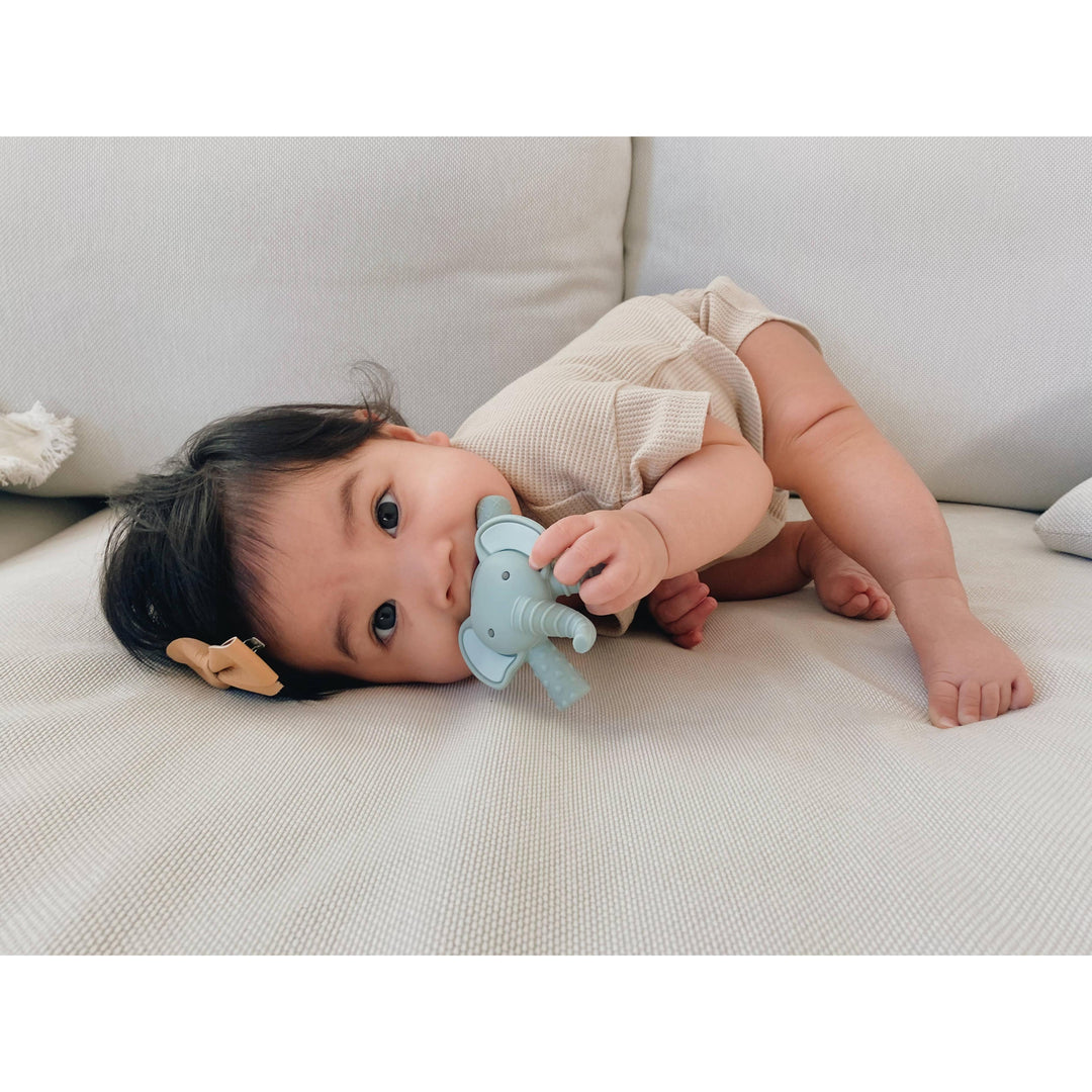 Itzy Ritzy Teether™ Baby Molar Teether