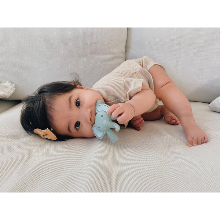 Itzy Ritzy Teether™ Baby Molar Teether