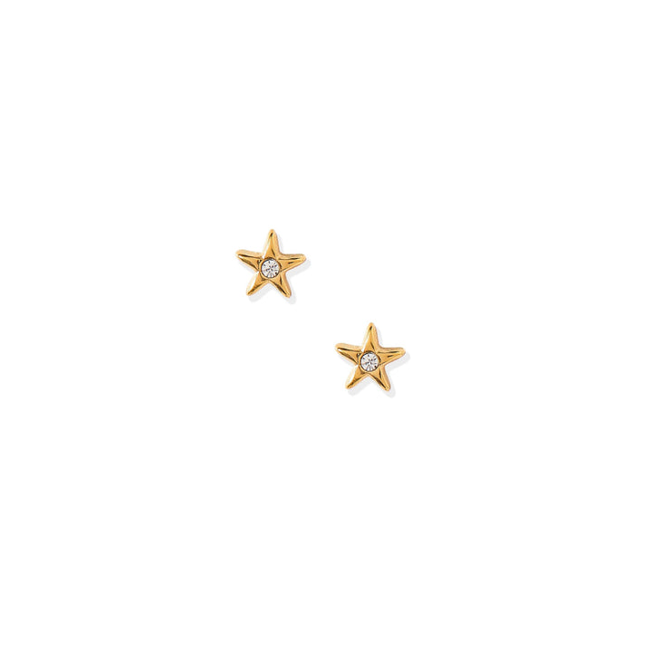 Screwback Stud Earrings - Scout Star