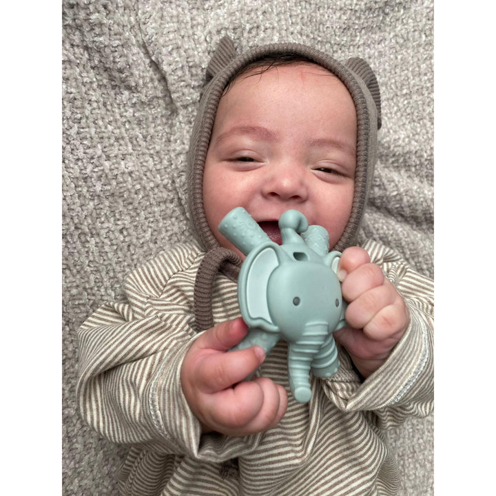 Itzy Ritzy Teether™ Baby Molar Teether
