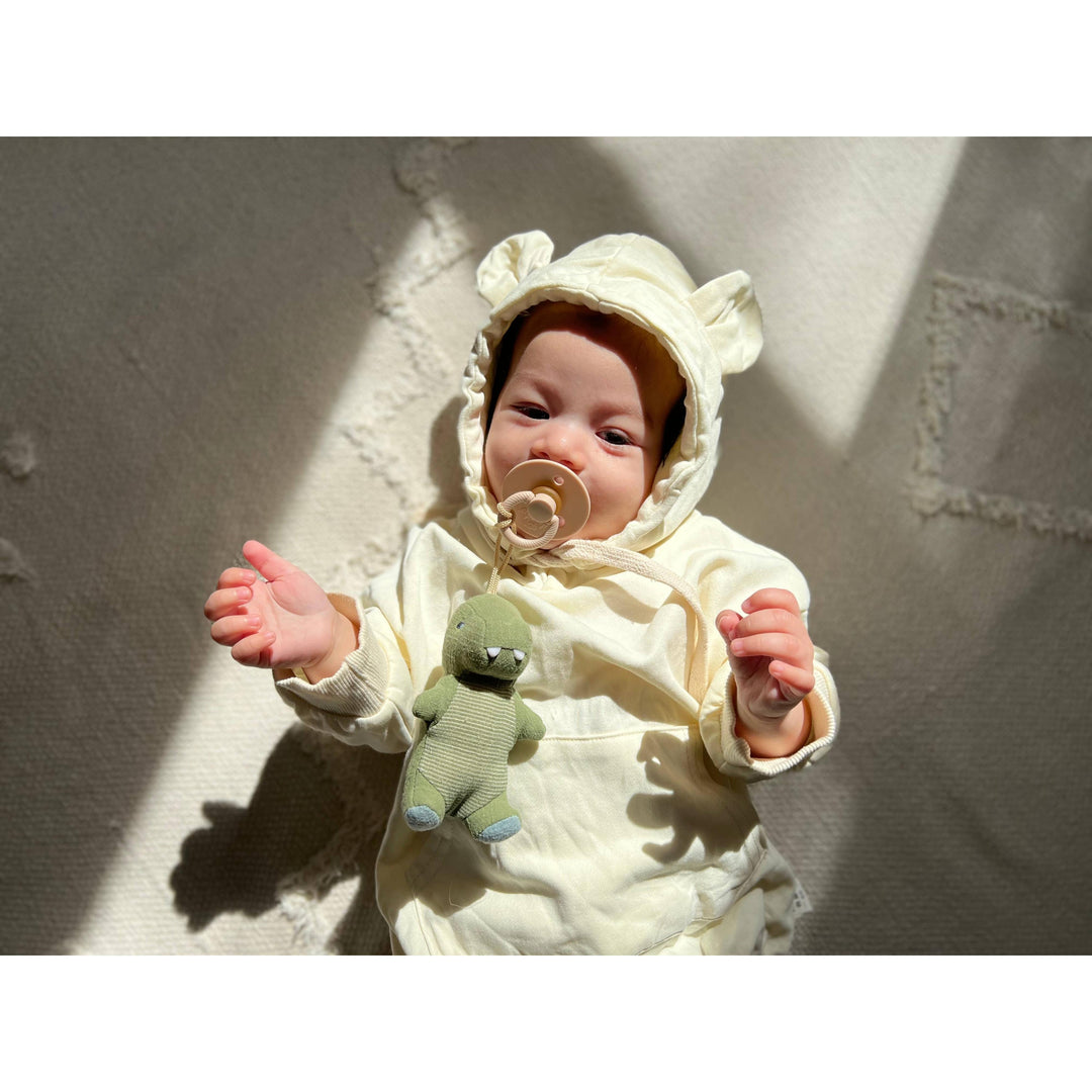 Itzy Ritzy Bitzy Pal Natural Rubber Pacifier &amp; Plush