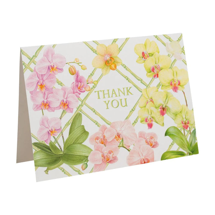 Orchid Conservatory Thank You Notes - 8 Note Cards &amp; 8 Envelopes