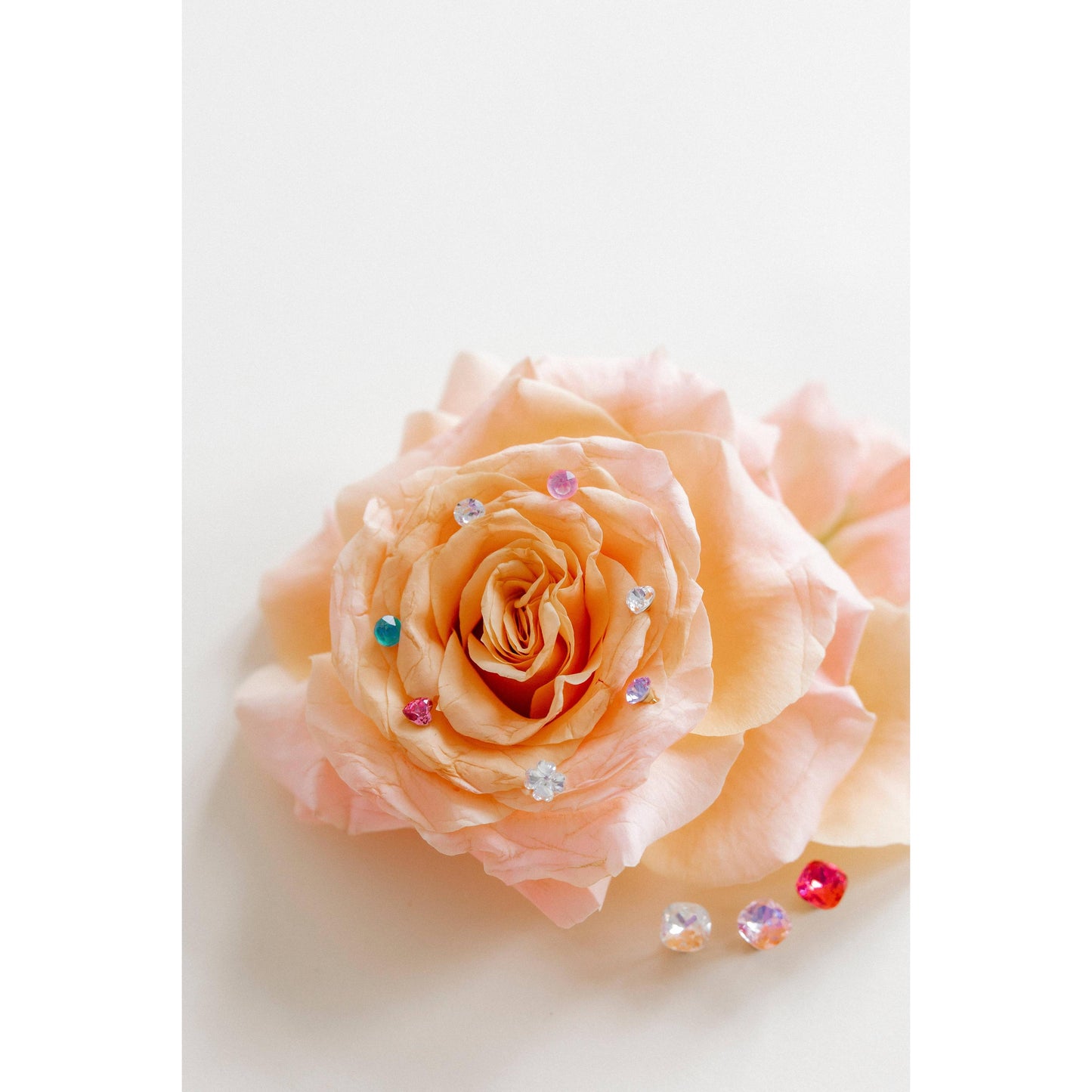Screwback Stud Earrings Lux - Zuri Clear