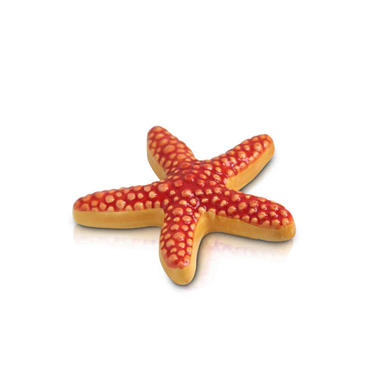 sea star