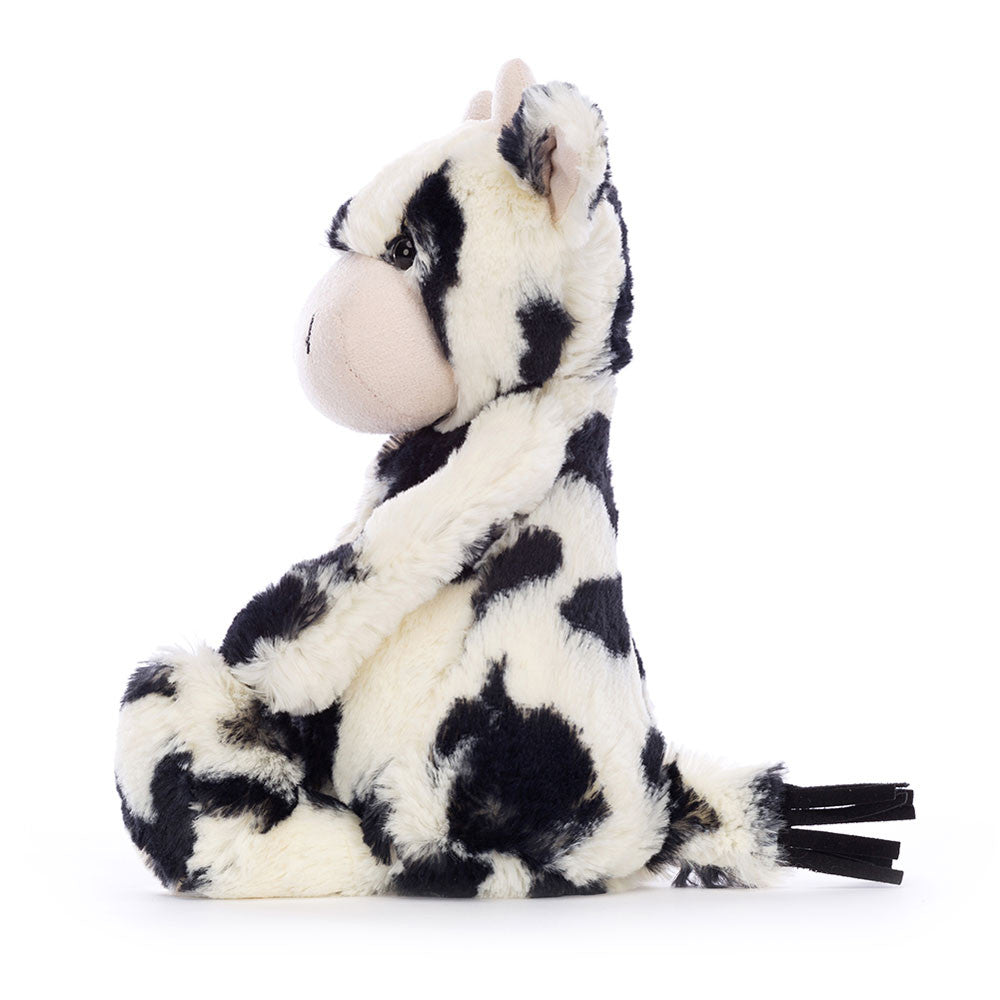 Bashful Calf Original