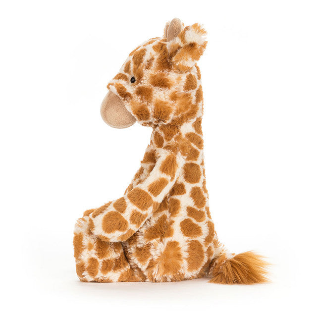 Bashful Giraffe (Medium)