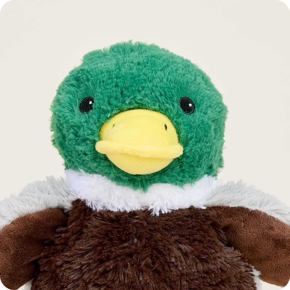 Soft green-headed mallard duck Warmies with real French lavender and grain filling