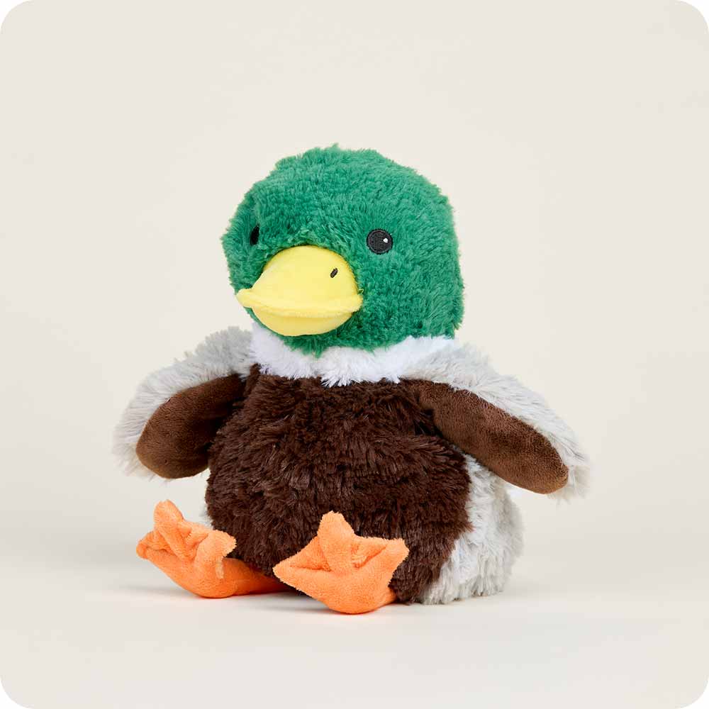 Mallard Duck Warmies mallard duck plush, chillable cold pack and cozy gift