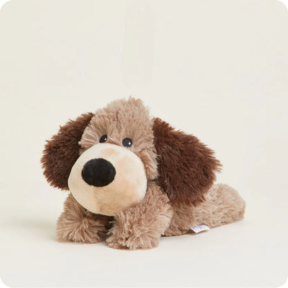 Brown Dog Warmies Junior