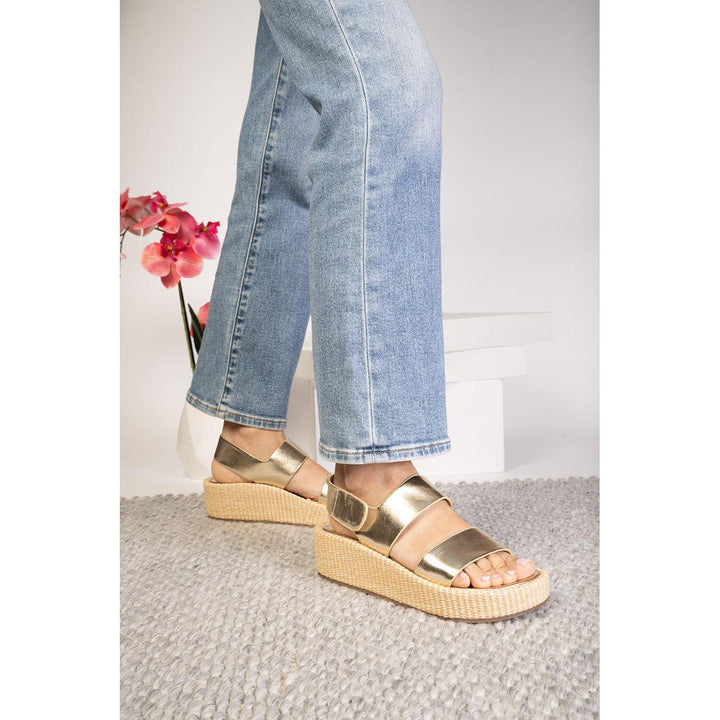 Corkys Heatwave - Gold
