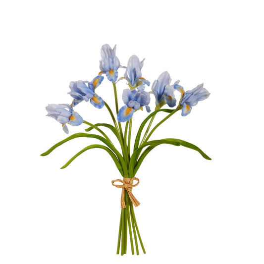 Bouquet of blue flowers with green stems on a white background