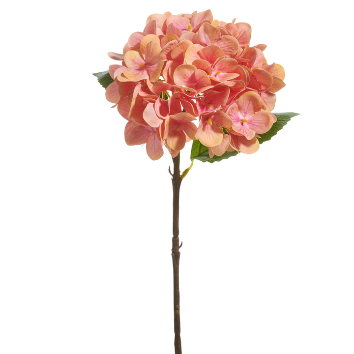 Artificial pink hydrangea flower stem on a white background