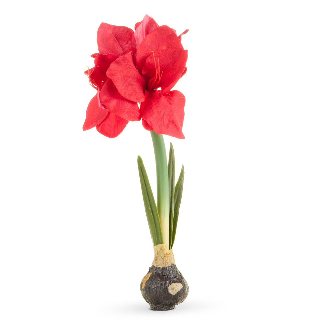 RAZ 19" Real Touch Red Amaryllis Bulb featuring a life-like artificial red flower design.