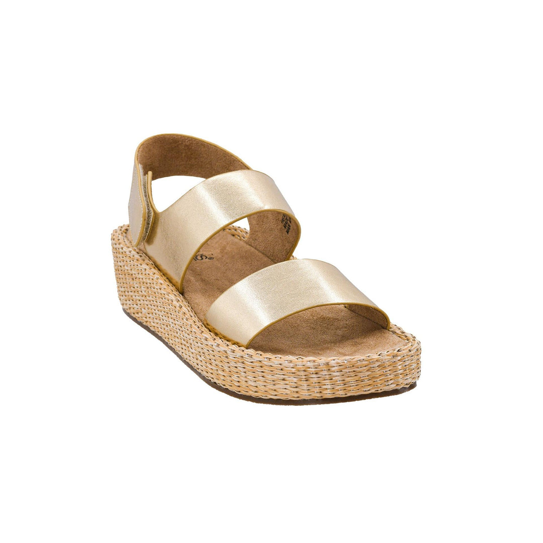 Corkys Heatwave - Gold