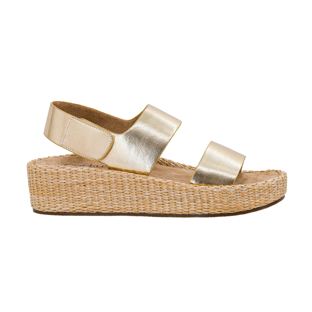 Corkys Heatwave - Gold