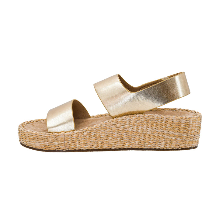 Corkys Heatwave - Gold