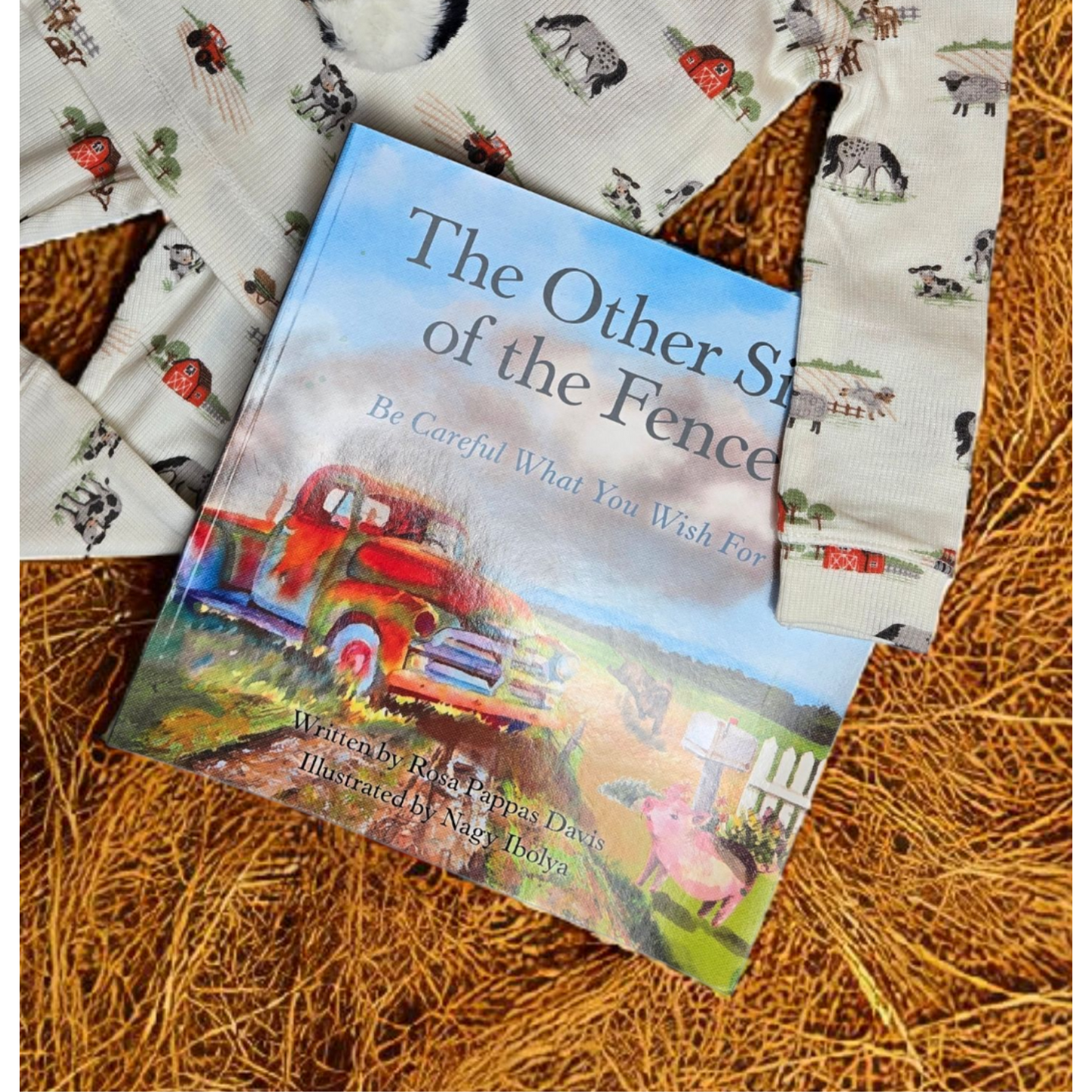 The other side of the fence book