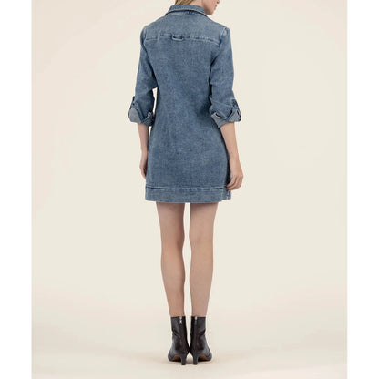 Anika Denim Dress