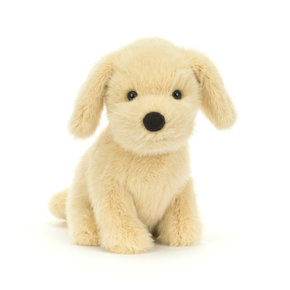 Plush toy dog sitting on a white background
