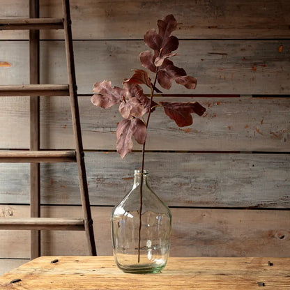 Autumn Fig Brown