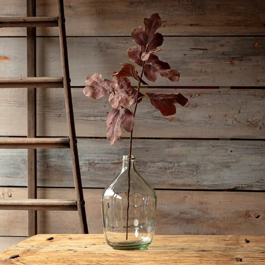 Autumn Fig Brown