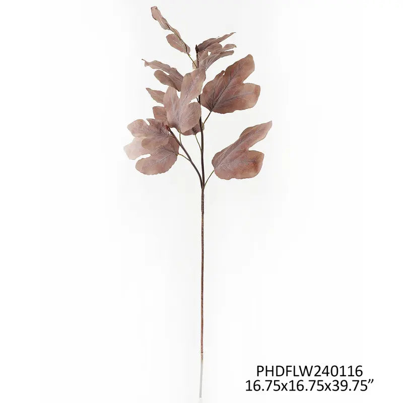 Autumn Fig Brown