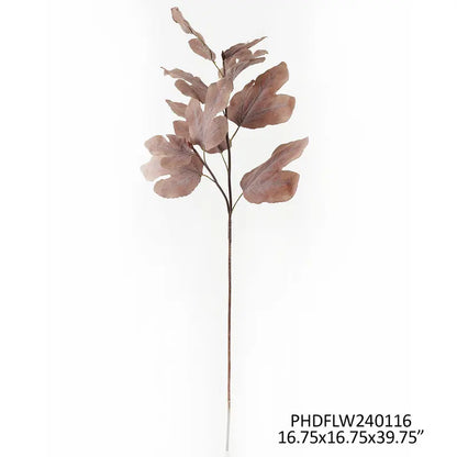 Autumn Fig Brown