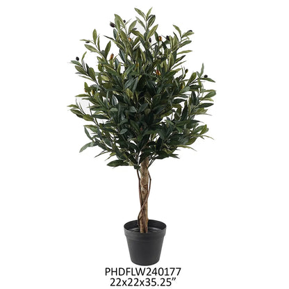 Potted Olive Topiary 35in