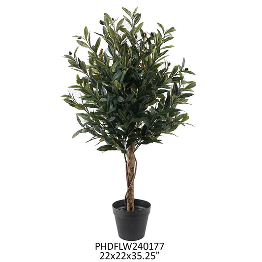 Potted Olive Topiary 35in
