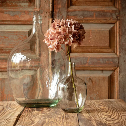 Hydrangea Antique Brown