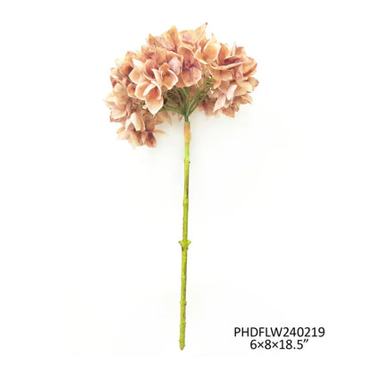 Hydrangea Antique Brown