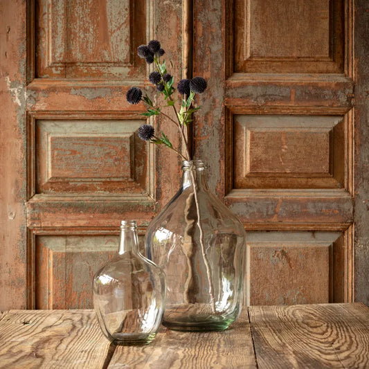 Blue Globe Thistle Stem
