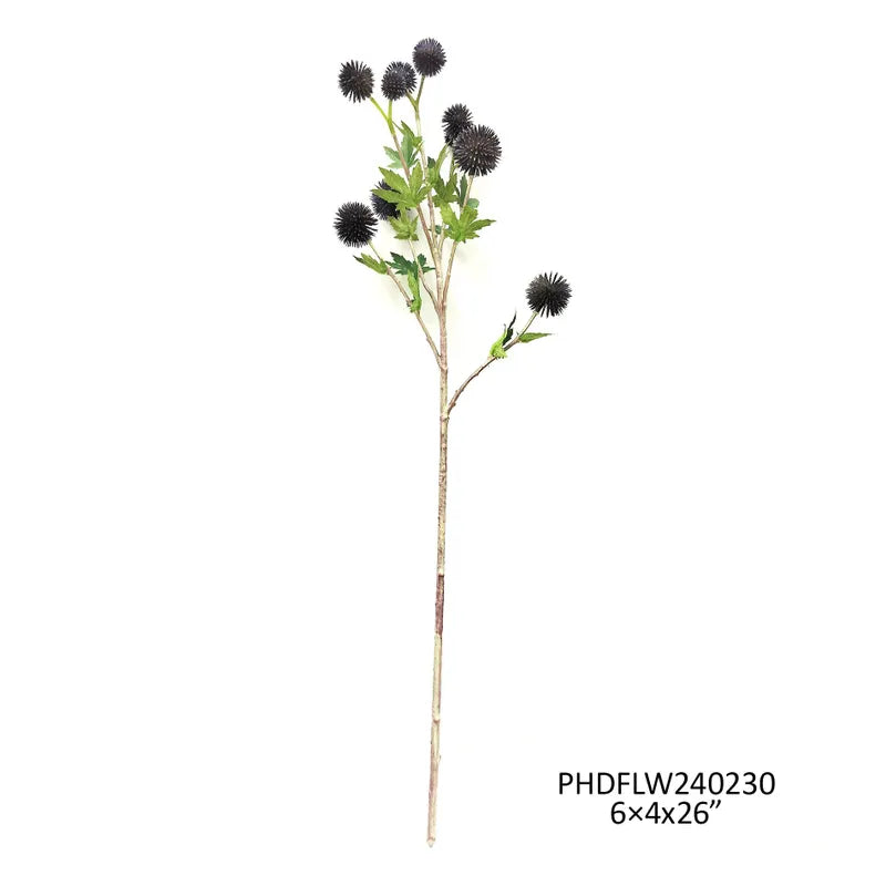 Blue Globe Thistle Stem