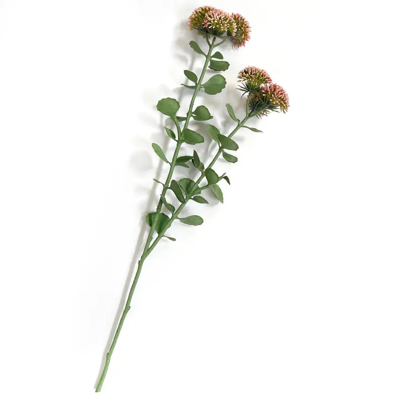Blush Sedum Stem