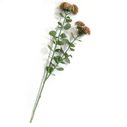 Blush Sedum Stem