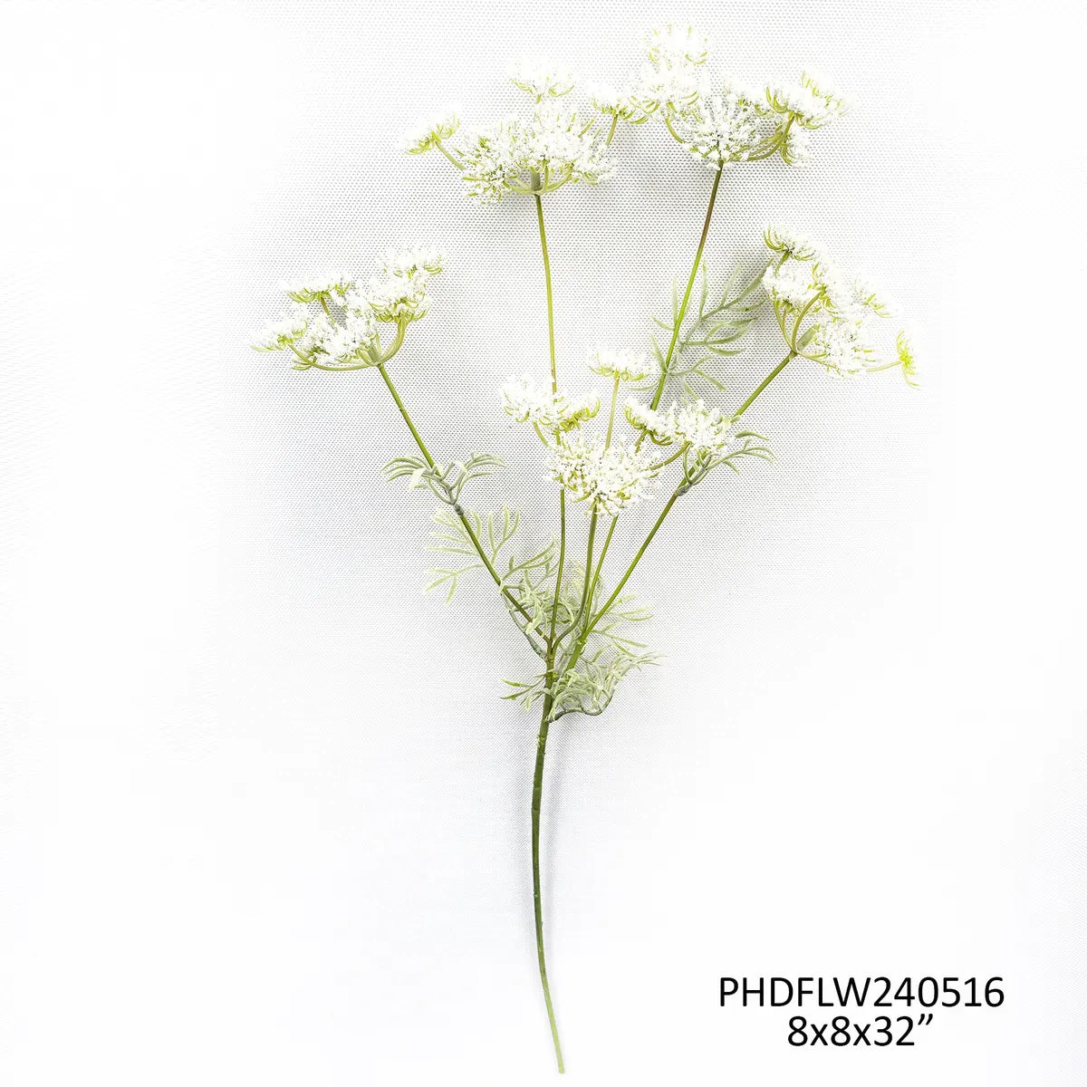 Wild Queen Annes Lace - White