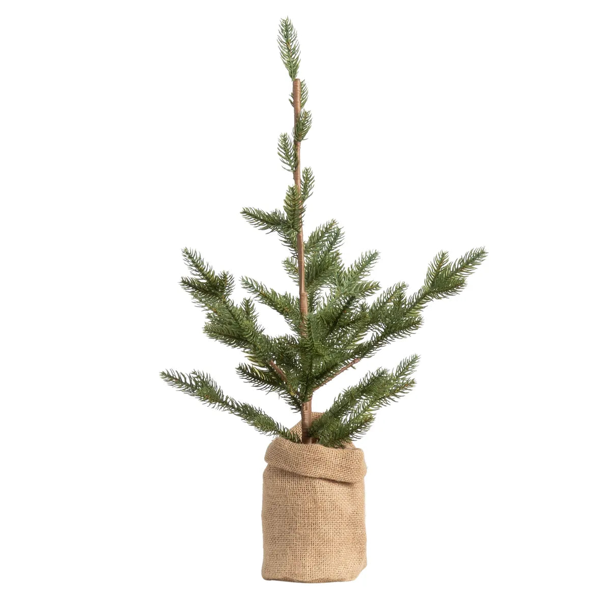 Woodland Fir - Small