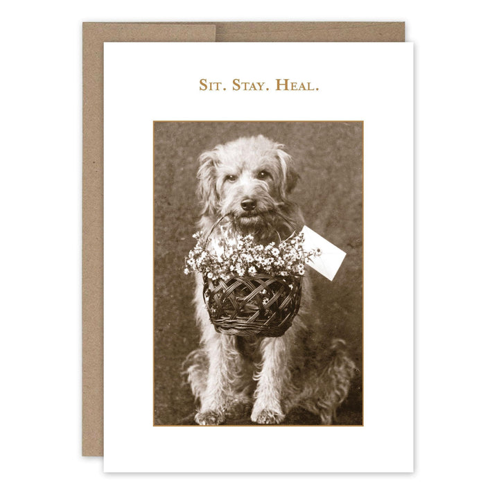 Shannon Martin Design - Sit. Stay. Heal Gw Card