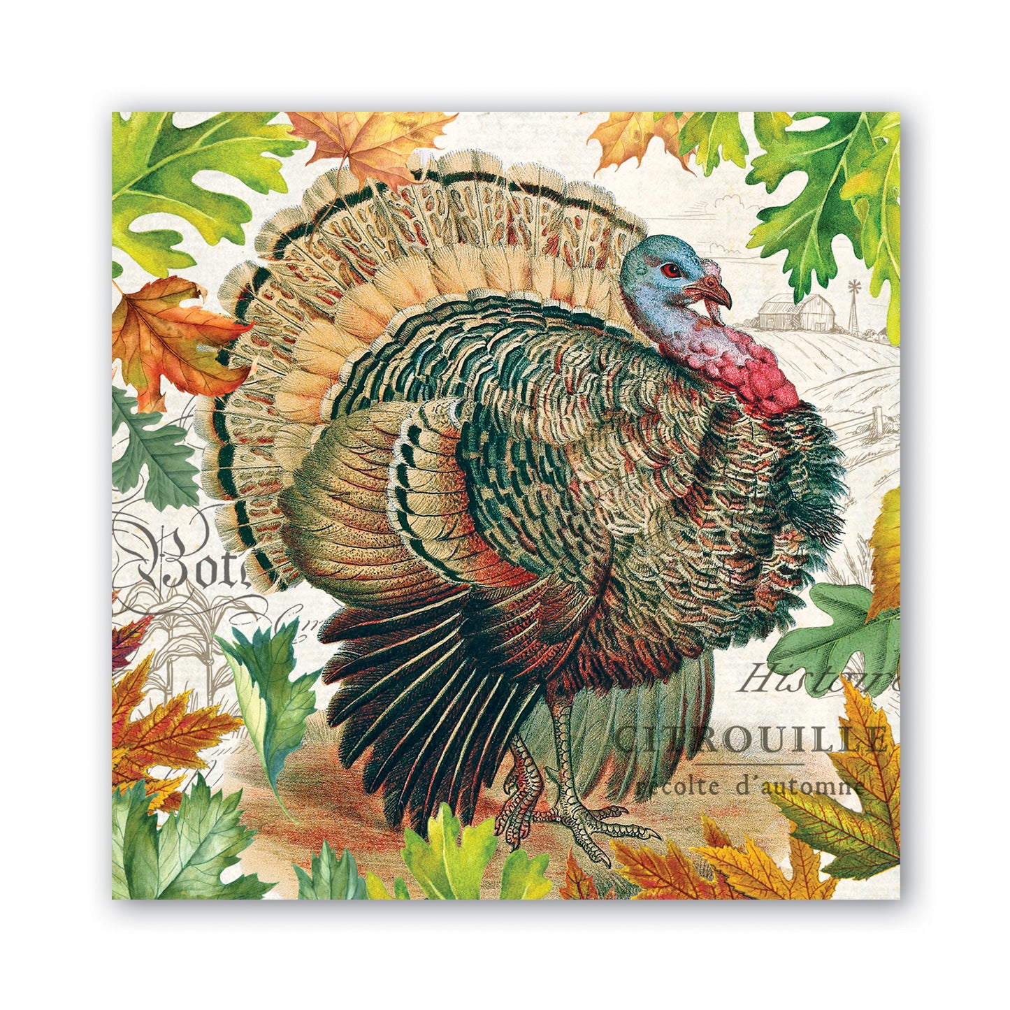 MDW Fall Harvest Napkins