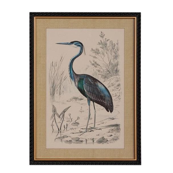 24" Heron Framed Print