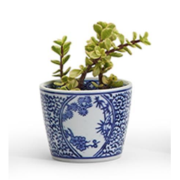 Canton Collection Cachepot in hand-painted blue and white porcelain featuring a classic chinoiserie design.