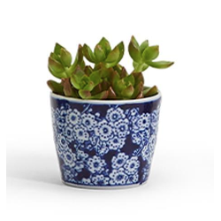 Canton Collection Cachepot in hand-painted blue and white porcelain featuring a classic chinoiserie design.