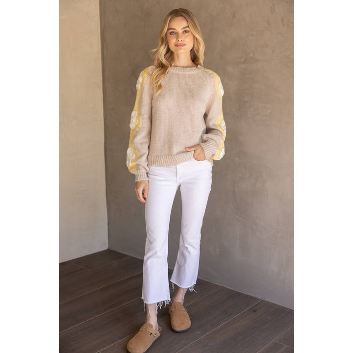 Floral Embroidered Long Sleeve Knit Sweater