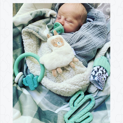 *NEW OPTION* Ritzy Rattle™ Silicone Teether Rattles