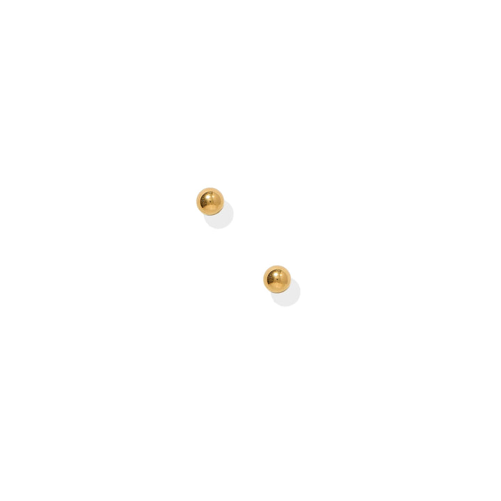 Screwback Stud Earrings - Evelyn Gold