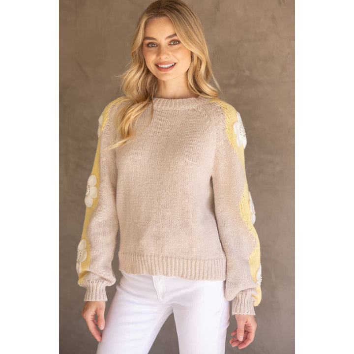 Floral Embroidered Long Sleeve Knit Sweater