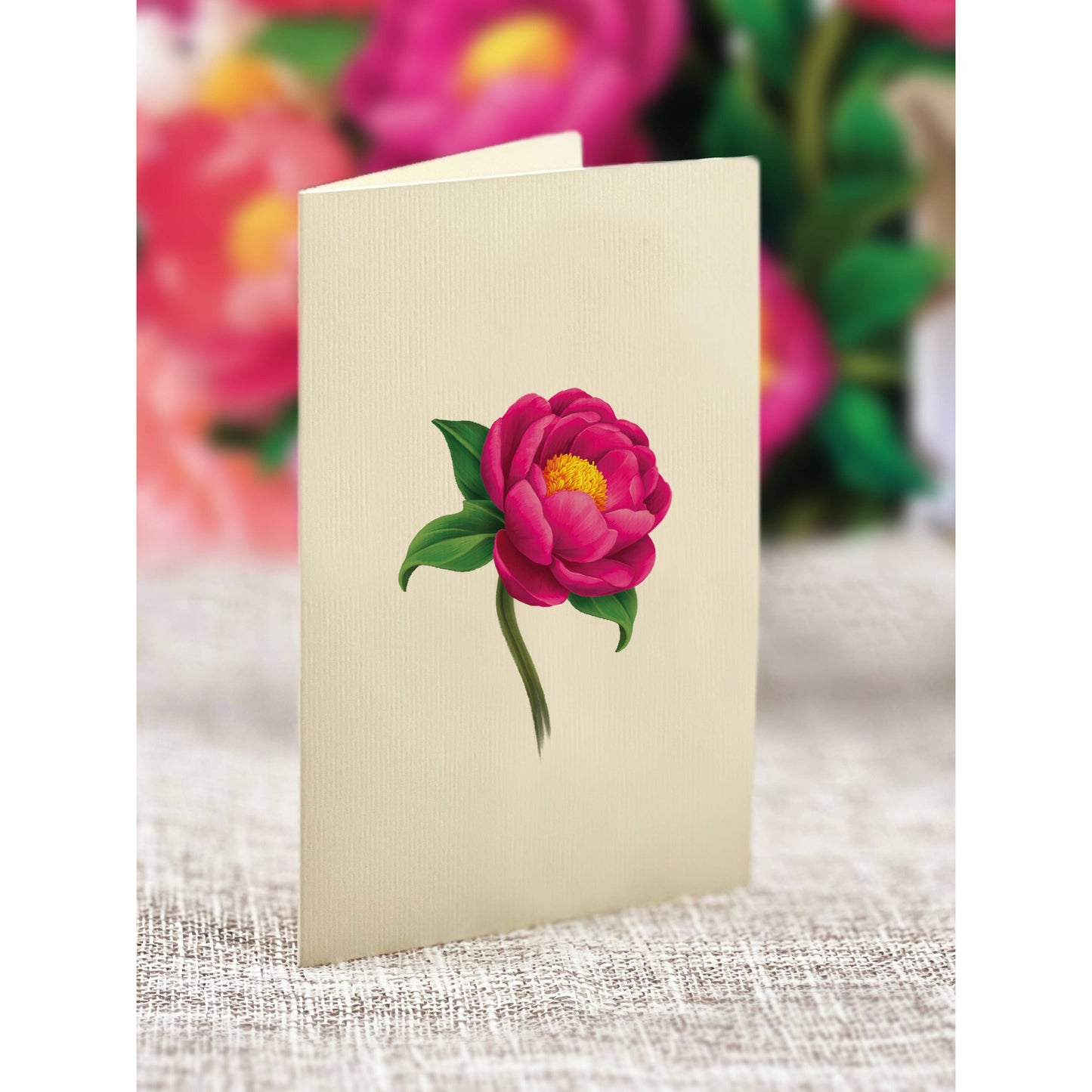 Mini Peony Paradise Pop-up Greeting Card