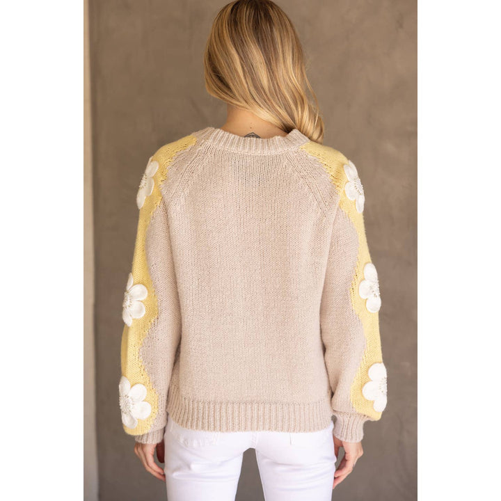 Floral Embroidered Long Sleeve Knit Sweater