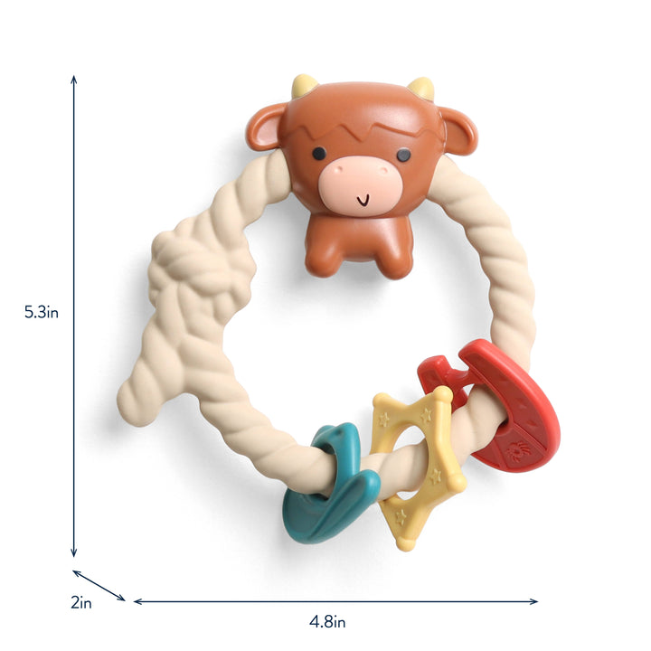 Itzy Ritzy Rattle™ Silicone Teether Rattles