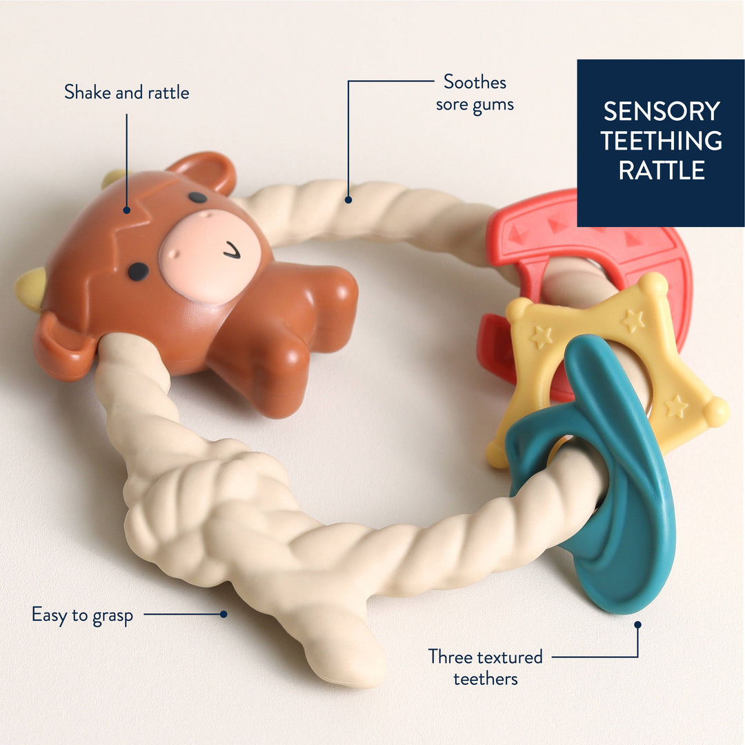 Itzy Ritzy Rattle™ Silicone Teether Rattles